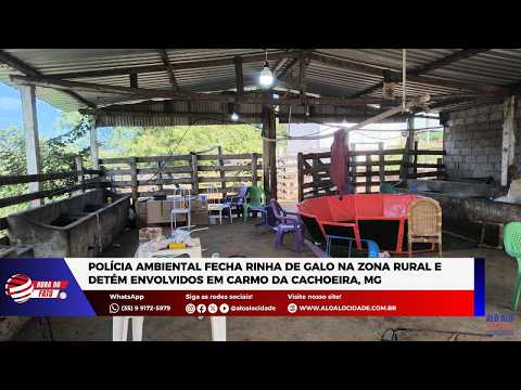 Polícia Ambiental fecha rinha de galo na zona rural e detém envolvidos em Carmo da Cachoeira, MG