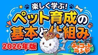 【チョコットランド】2026年度版！今更聞けない『ペット育成の基本』を判り易く解説【初心者復帰勢の方必見】