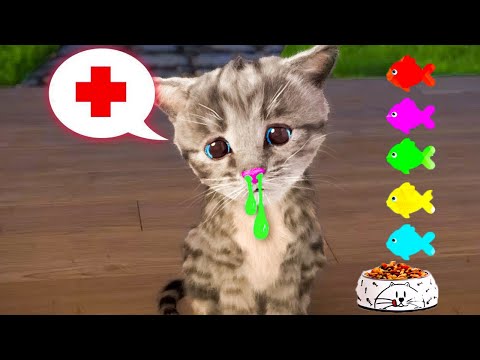 LITTLE KITTEN ADVENTURE MY FAVOURITE CAT - PLAYFUL CARE FOR A FUN PLAYFUL CAT AND ANIMAL FRIENDS