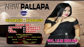 Download lagu Lilin Herlina - Kunang Kunang (VCD KARAOKE) mp3 Download lagu Lilin Herlina - Kunang Kunang (VCD KARAOKE) mp3