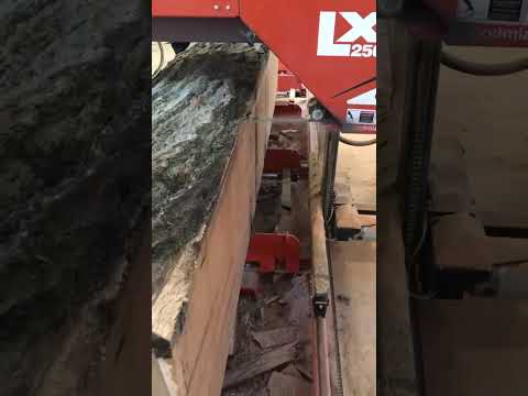 WOOD-MIZER LX250E15 Horizontal Band Saws | ListingHippo (1)