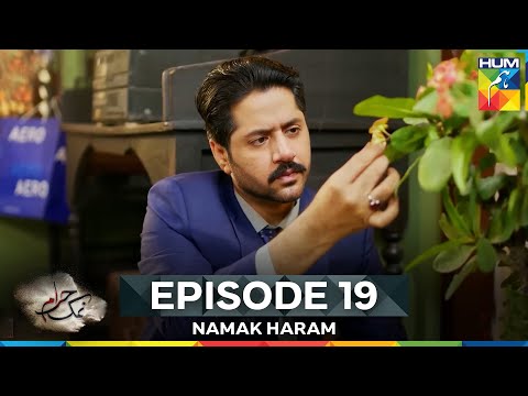 Namak Haram Episode 19