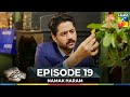 Namak Haram Episode 19