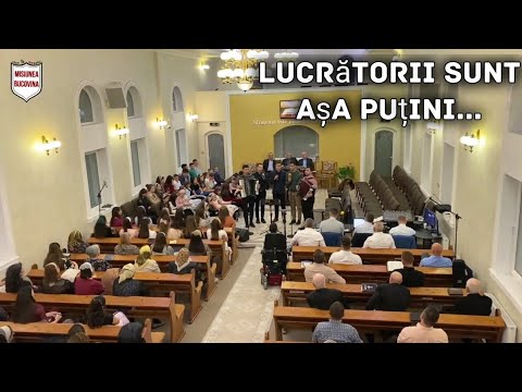 Secerișul este foarte aproape, lucrătorii sunt așa puțini - Frații Ursachi și prietenii
