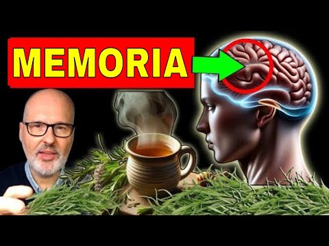 La HIERBA que MEJORA la MEMORIA