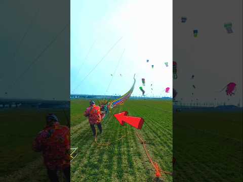 The world's biggest kite 🪁