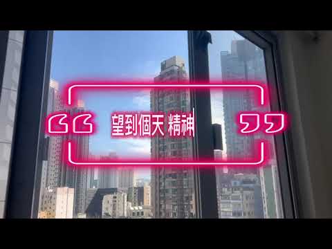 Wealthy Court Youtube Video