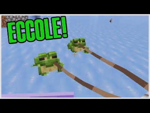 Ho le rane verdi - Minecraft - vanilla #181