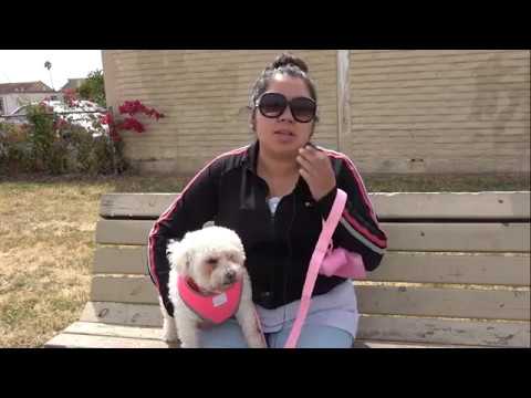Vca All Pets Salinas