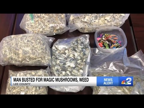 Lehigh Acres man arrested with over 3 pounds of magic mushrooms