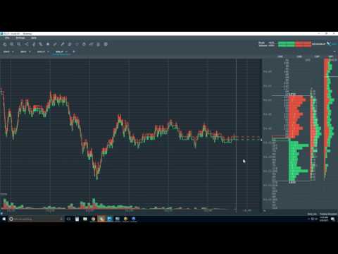 Bookmap Webinar with Oil trading Group 2017-02-23