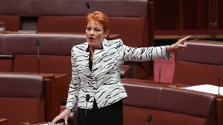 Pauline Hanson ‘doing Scott Morrison’s job’ 