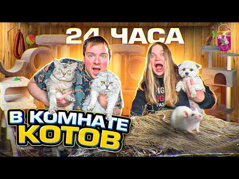 24 ЧАСА В КОМНАТЕ КОТОВ НА ДАЧЕ! УБОРКА ПОСЛЕ ЗИМЫ, РАСПАКОВКА ТОВАРОВ ДЛЯ ЖИВОТНЫХ!