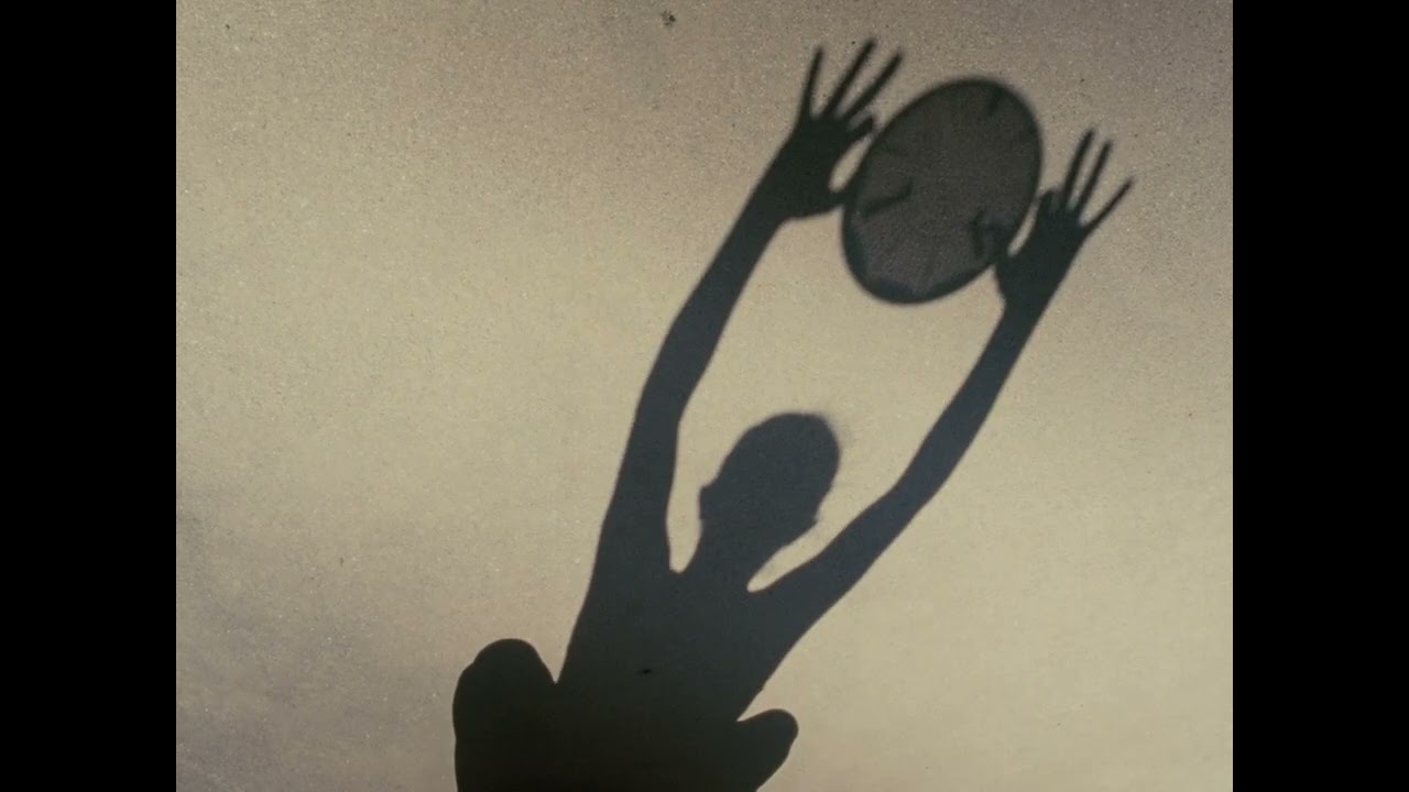 Domestic Demon - Trailer | IFFR 2026