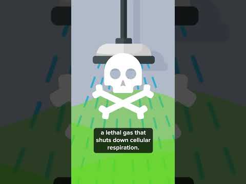 How Nazi Gas Chambers Actually Worked #ww2