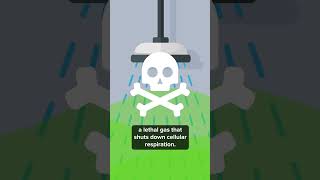 Download lagu How Nazi Gas Chambers Actually Worked #ww2 mp3