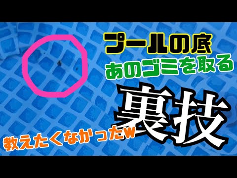 化学薬品を使わずにインフレータブルプールを清潔に保つにはどうすればよいでしょうか?  庭園