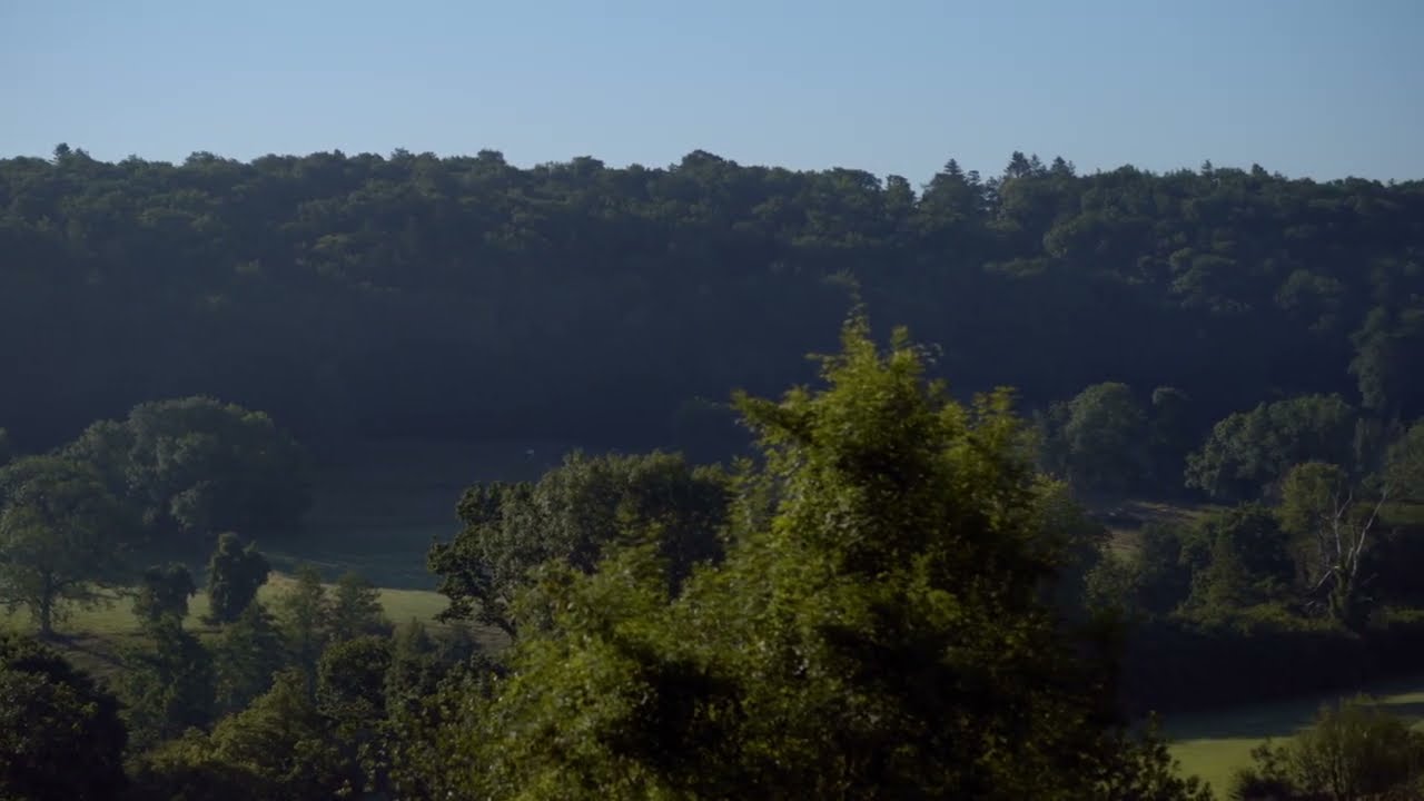 MÉMÉ - Bande Annonce Officielle - 27e Festival du Film d'Action Sociale