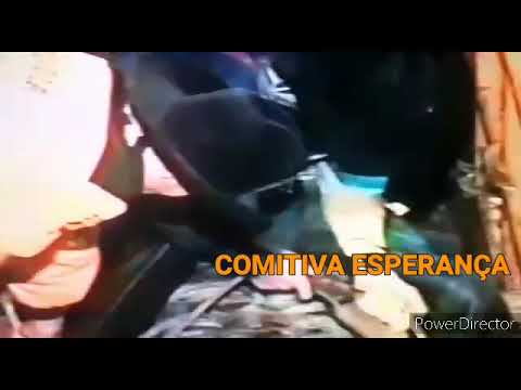 FABRICIO ALVES & KARATE  CIA MARCIO COUTO