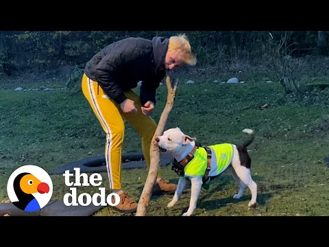 Pittie Is Obsessed With His Wild And Crazy Uncle | The Dodo