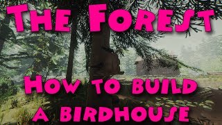 The Forest - How to build a birdhouse