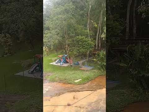 pedra dourada Mg 2026