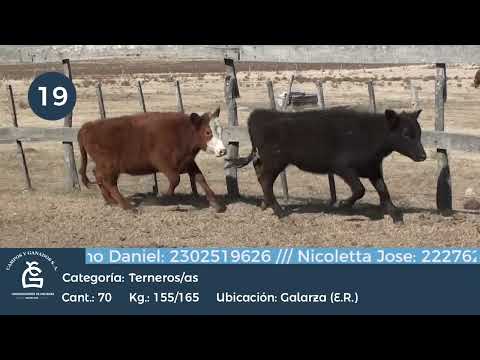 Lote M Y H - Gdor Galarza E Rios