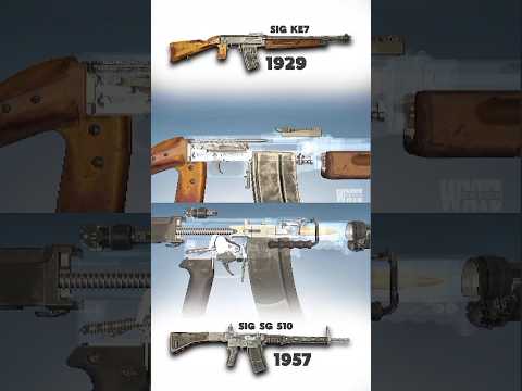 LIGHT MACHINE GUN : SIG KE7 X SIG SG 510