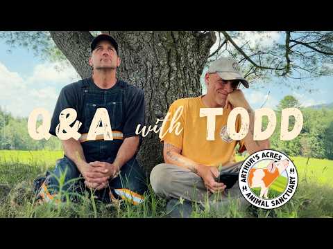 Q&A with Todd from Arthur's Acres