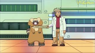 Bibarel attacks Professor Oak | Pokemon quiz