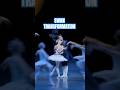 Ballerina Turns Back Into A Swan Ballet Ballerina Swanlake