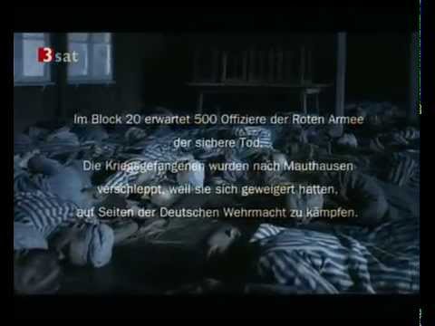 Video-Thumbnail von YouTube