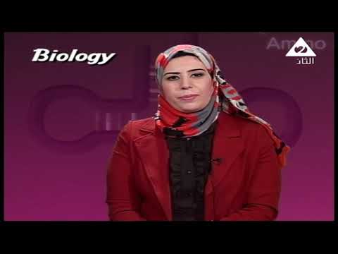 أحياء لغات 3 ثانوي nucleic acids and protein synthesis أ نجوان محمد 07-05-2019