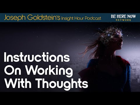 Instructions on Working with Thoughts – Joseph Goldstein's Insight Hour Podcast Ep. 175