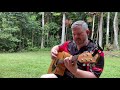 Pete Murray - Remedy (Acoustic cover by Paul Charles)