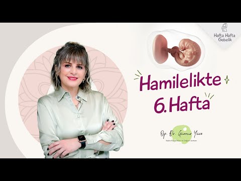 Gebelikte 6. Hafta | Op. Dr. Günnur Yüce | Hafta Hafta Gebelik