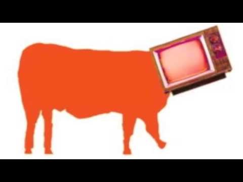 "Tv en campagne" - votre village sur un plateau T1