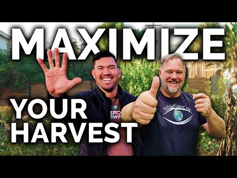 , title : '5 Easy Tips To Harvest MORE From Your Garden (with @Self Sufficient Me)'