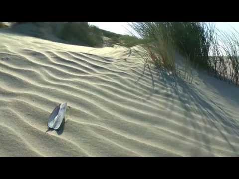 Langeoog Impressionen von Sand und Land - auch 2025 immer noch aktuell -