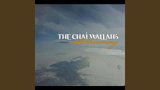 Down to Earth (feat. Amaan, Jahron B, Ubiquitous &amp; Thin C)