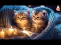 HOURS of Relaxing Music for Cats - Soothing Music | Sleepy Cat #2