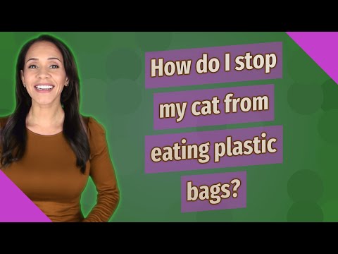 How do I stop my cat from eating plastic bags?