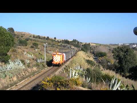 Comboio Especial n.º 13848 (PTG) - Barquinha