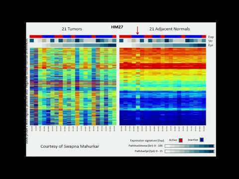 TCGA: Genomic Characterization of Cancer-Adjacent Tissue - Melissa Troester