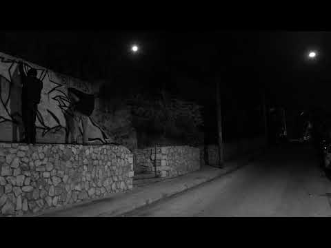 MAYP_ // Πουλιά