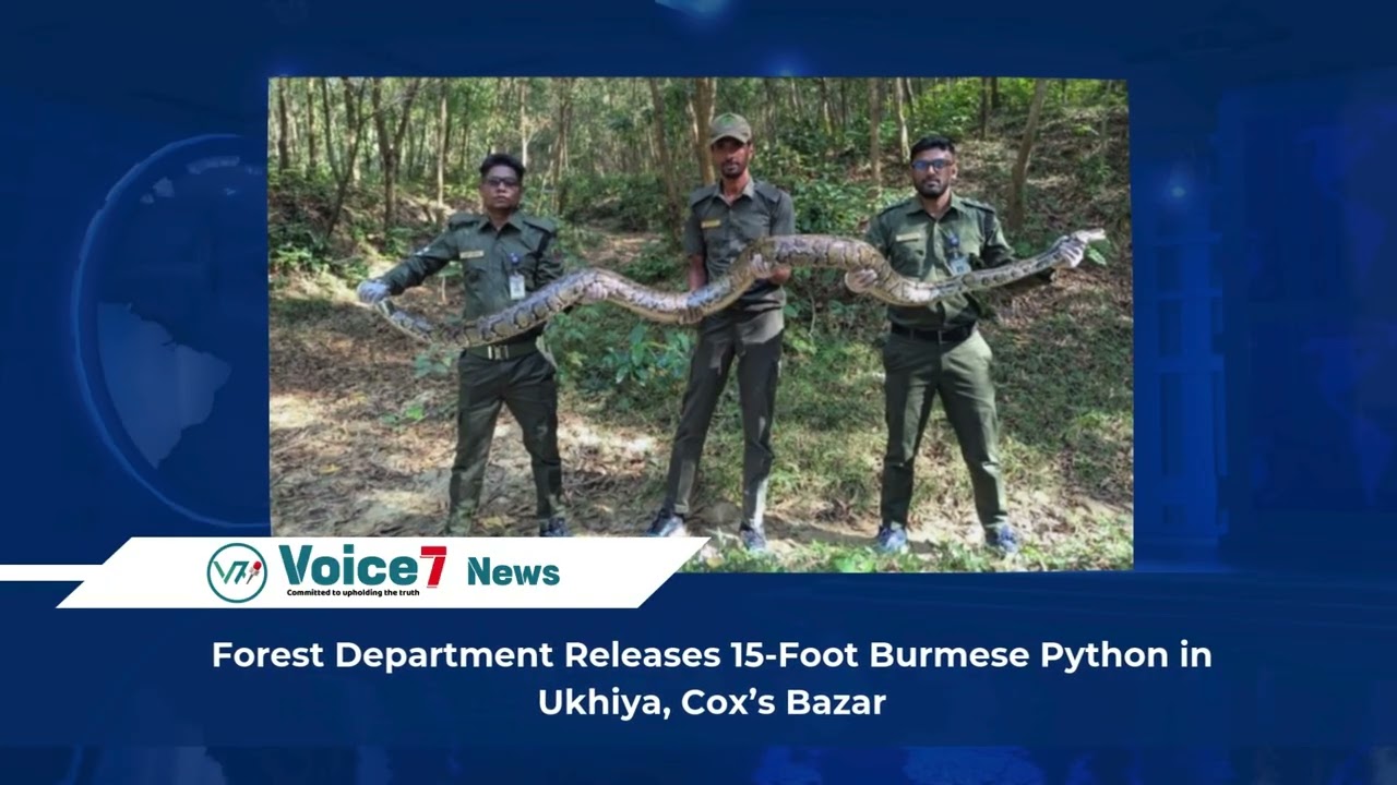 Today News Update | 17 December 2025 | Voice7 News