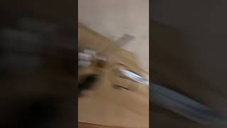 Download lagu story halu nongkrong di cafe  sama ayang halu 🤣🥰 #shorts #shortsvideo mp3