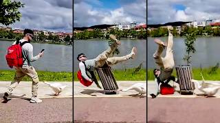 FUNNY Pet Fails | Am I Being Rage Baited By My Dog?