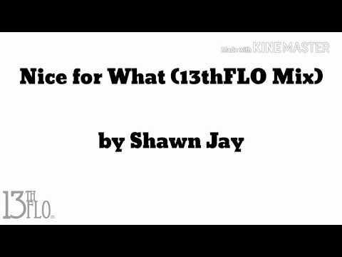 Shawn Jay - Nice For What  (13thFLO Mix)