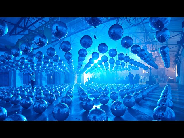 About Baltic Amadeus